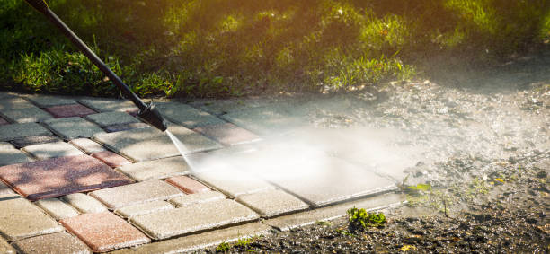 Best Animal Enclosure Cleaning  in Valhalla, NY